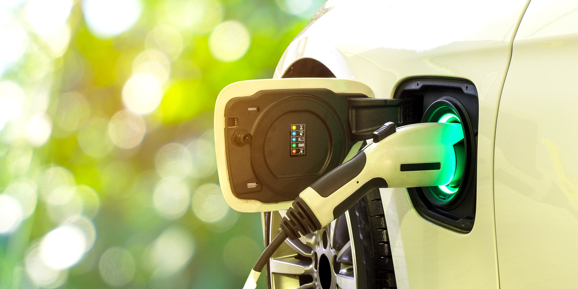 �����̹��� 2